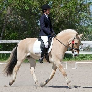 Meet your Posher, Lana